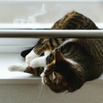 nattukawo's profile picture. 多汗症レベル3 手、足、脇メイン