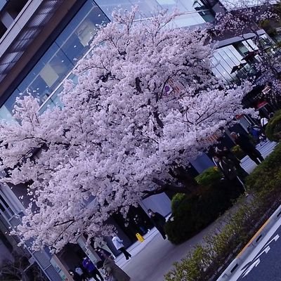 IlFelice2's profile picture. A photography and Haiku Operating System enthusiast