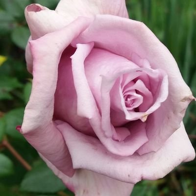 yosy__21's profile picture. 