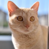 ใจโใphoto (@photophoto0329) 's Twitter Profile Photo ใจโใphoto (@photophoto0329) 's Twitter Profile Photo