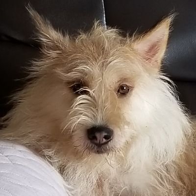 key93313598's profile picture. 初心者ですが　よろしくお願いします
(*＾▽＾*)