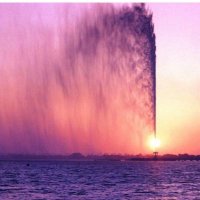 عبادي الاسمر عاشق الخيلان فقط (@qq73pwknke2wtfb) 's Twitter Profile