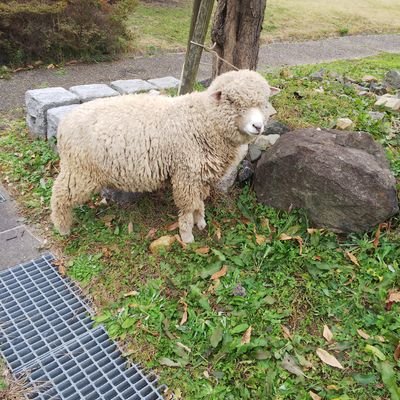 na21pd's profile picture. お酒弱い社会人。DANCEは見るのもやるのも好き(о´∀`о)　舞台いろいろ観てるけど感想は書いたり書かなかったり…