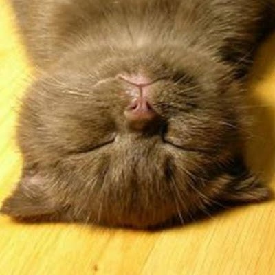 I'm hard work.
this account is for airdrop.
I will follow back properly.