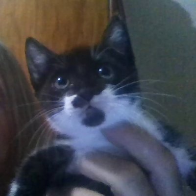 SartoriCrisrami's profile picture. Sou loiro tenho 1.75 75 KG, tenho olho azul e adoro todos os tipos de mulheres sem exceção alguma