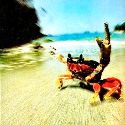Zenicrazy496's profile picture. Money is like a sixth sense without which you cannot make a complete use of the other five. 『慌てる乞食は貰いが少ない 』実るほど頭を垂れる稲穂かな 😉自利利他円満🙏🏻聞くは一時の恥、聞かぬは一生の恥🤔