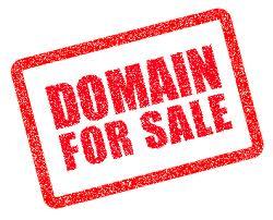 Secure the best domain name for your business --before your competitor snatches it up!
