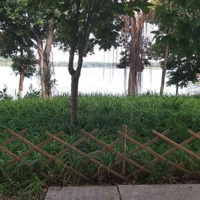 luoshaoshao1's profile picture. 