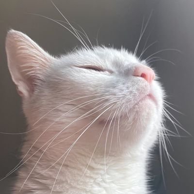 haebarangiyo's profile picture. FREE 🇵🇸 TILL IT BACKWARDS