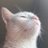 haebarangiyo's profile image