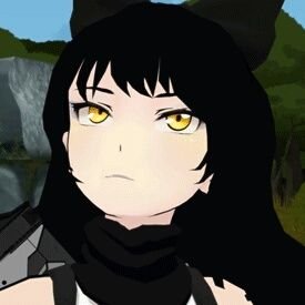 Blake the panther kittenさんのプロフィール画像