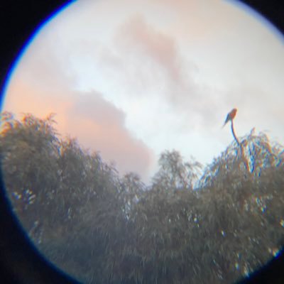 przyjazny_duch's profile picture. Personal acc of @is_kat_online