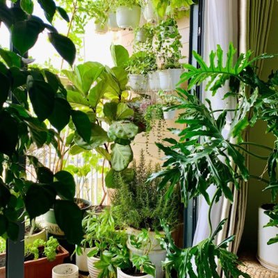 ritsutoku1's profile picture. 