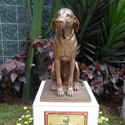 PROTECTOR DE LOS DEBILES,DEFENSOR DE LOS INOCENTES Y EN GENERAL BUEN CHICO (Lima Peru) influenciador de redes sociales.
