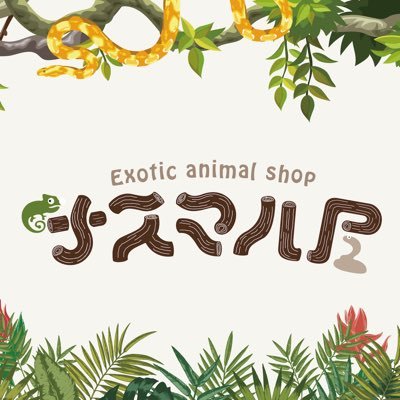 nasumaruya's profile picture. 静岡県浜松市で爬虫類や小動物などのエキゾチックアニマルを販売しております。  ［営業時間 ］火 水 木 金 土18:00〜22:00 日曜日14:00〜21:00 定休日 月曜日