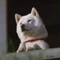 小僧 (@kozoh_uya) 's Twitter Profile