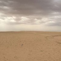 عبدالرحمن (@mumjcudsbbt5r2h) 's Twitter Profile