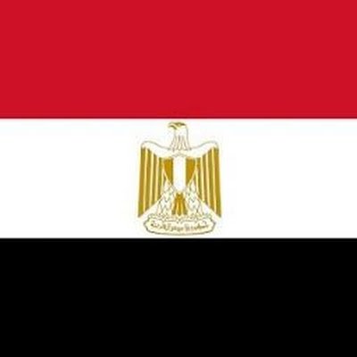 shawat_amr's profile picture. Bachelor of Civil Engineering