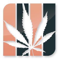 MMJRevu's profile picture. The Only Medical Marijuana Community With Real MMJ Patients, Strain Reviews, Strain Pictures, Real Medical Information and More