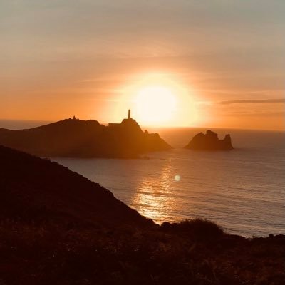 antiiilop's profile picture. 