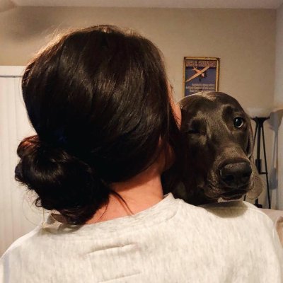 fierrrce's profile picture. details of your incompetence do not interest me