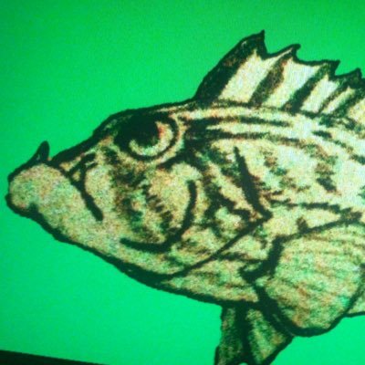 Grouper64 Profile Picture