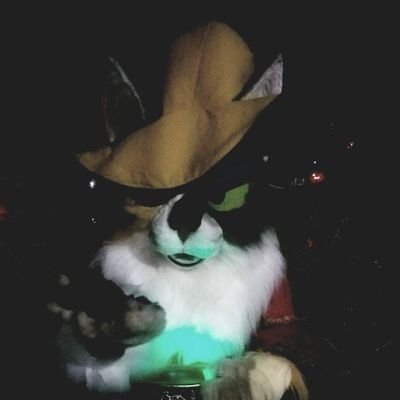 im just a cat and life is a nightmare 🐈さんのプロフィール画像