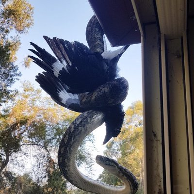 JManivelle's profile picture. Vive les meufs