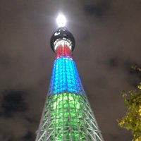 CIS/クマ/SES営業/5年目 (@ses_cis) Twitter profile photo