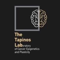 Tapinos Lab (@tapinos_lab) 's Twitter Profile