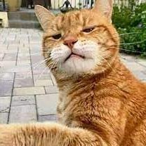 ImErrorCode404's profile picture. hay sya msuk ke twiter minta