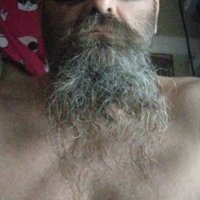 Hoss (@capps_harley) 's Twitter Profile