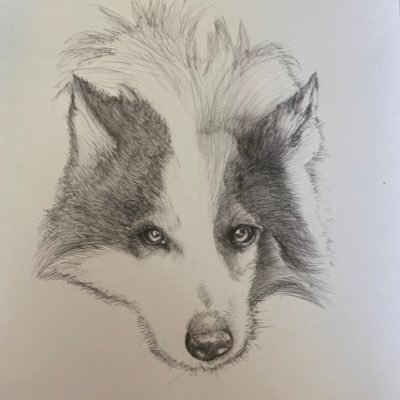 children’s book illustrator artist dog & pet portraits