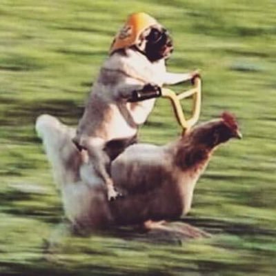 itscoolwhip's profile picture. sucio