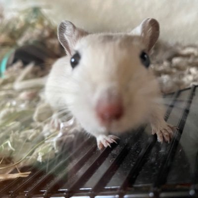 Enjoy spinach and chewing cardboard tubes