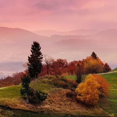 Mehran64934531's profile picture. 