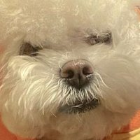 유디 (@peek2_4_) 's Twitter Profile