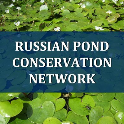 russianponds's profile picture. For any communications:
✉️ epcn.russia@gmail.com