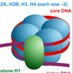 Polygenic DNA and Embryo (@polygenicdna) Twitter profile photo Polygenic DNA and Embryo (@polygenicdna) Twitter profile photo