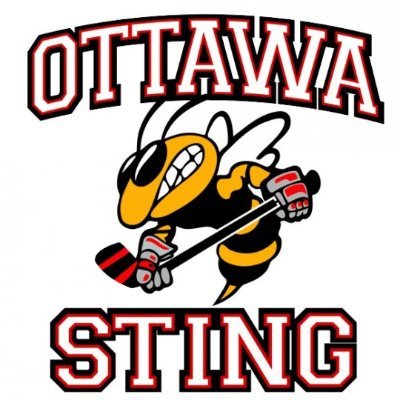 The Ottawa Sting U10 B competitive hockey team in District B (Bytown) playing in the Hockey Eastern Ontario Minor Hockey Association in the 2021-2022 season.
