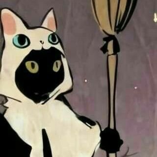 Wildoさんのプロフィール画像