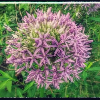 GeorgeReindel's profile picture. 