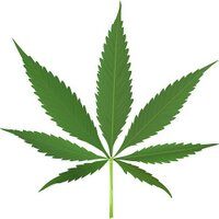 Igzactly 420 (@igzactly) Twitter profile photo