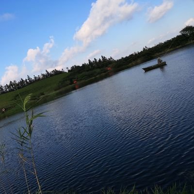 w1GAP8Y8zeckkqx's profile picture. 