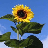 Wie ich heiße (@wie_ich_heisse) 's Twitter Profile Photo Wie ich heiße (@wie_ich_heisse) 's Twitter Profile Photo