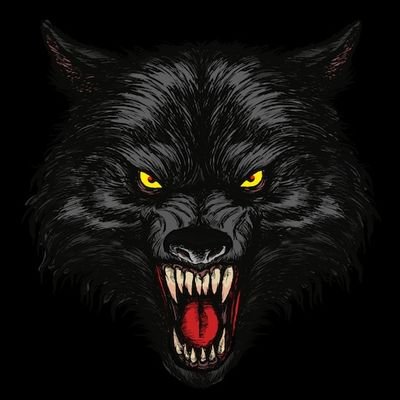 BastionFH's profile picture. 