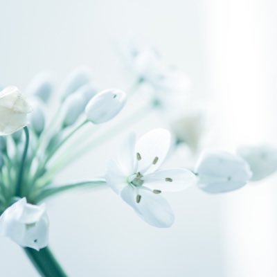 Gardenia0603's profile picture. 