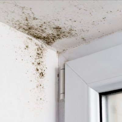 updateyourgame2's profile picture. the