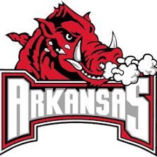 US Navy Veteran,  Extreme Weather Geek with a passion for the Arkansas Razorbacks...#WPS