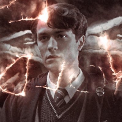 riddletwt's life-support | #RON: who even is this tom riddle? he sounds like a dirty rotten snitch to me.